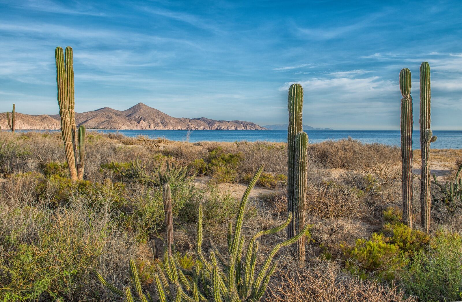 メキシコ（バハ）サーフィンの究極旅行ガイド | Yeeew!